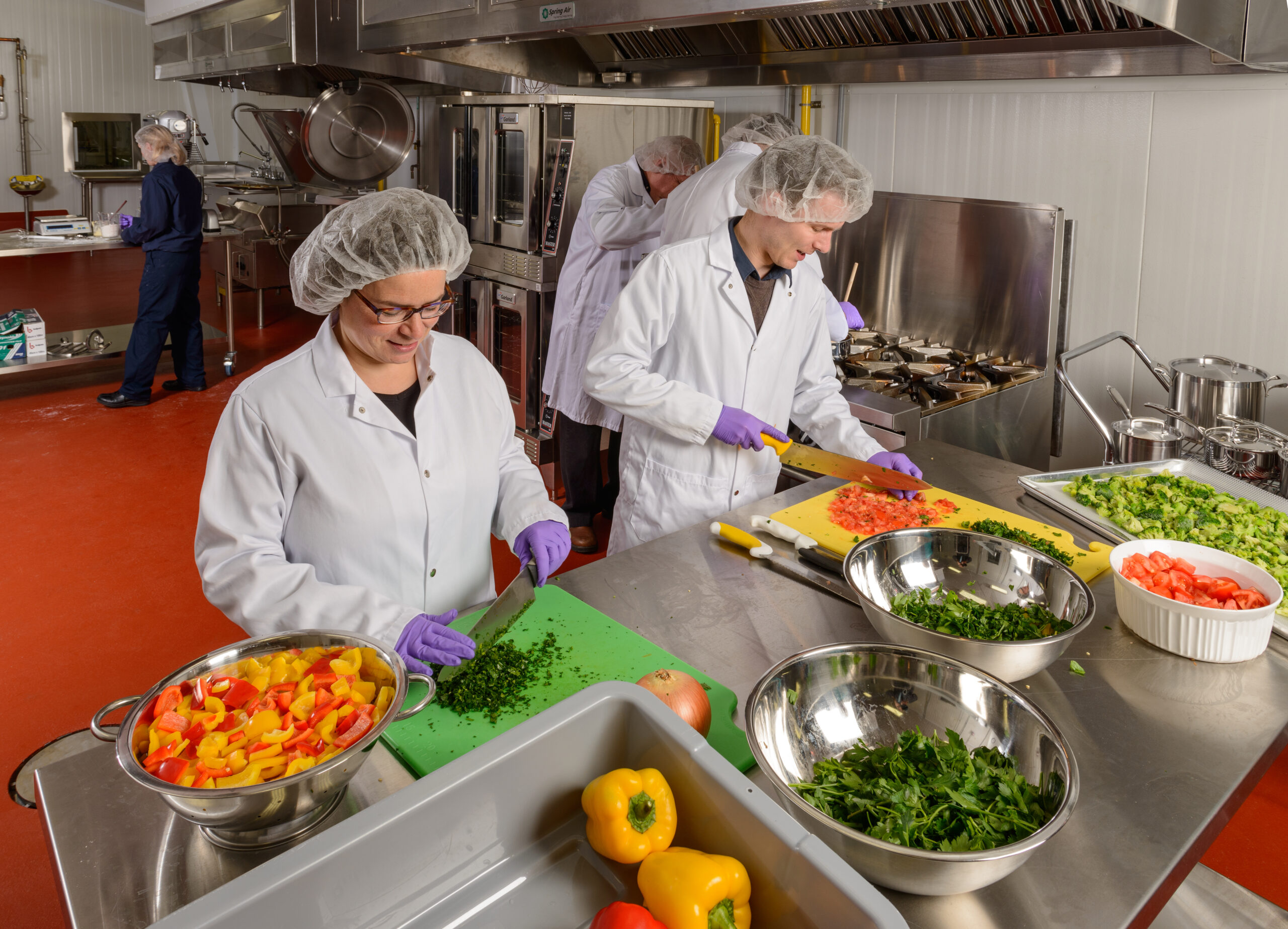 Plant-Based Food Manufacturing Launchpad
